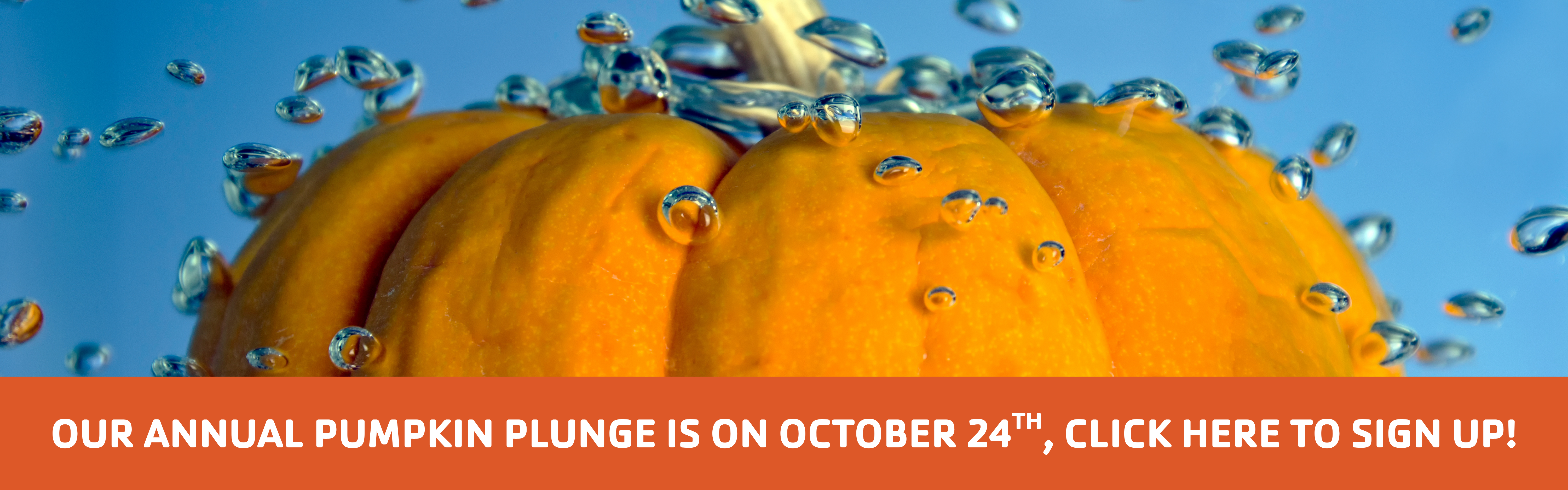 https://www.greatermorristownymca.org/sites/default/files/revslider/image/Pumpkin%20Plunge%20Banner.png